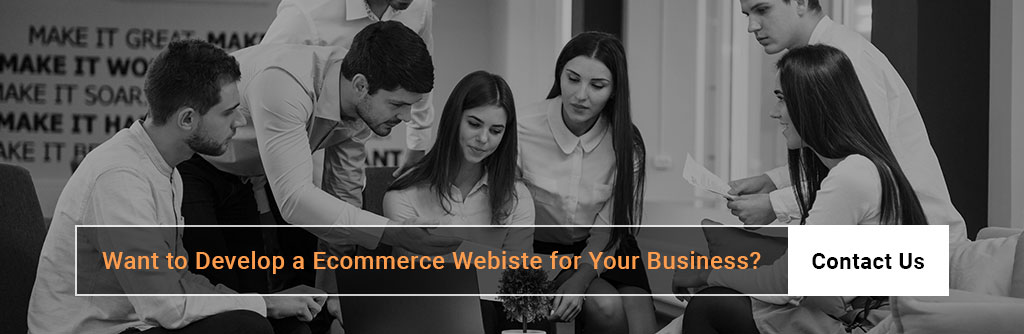 Ecommerce Developers