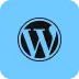 Wordpress Developer