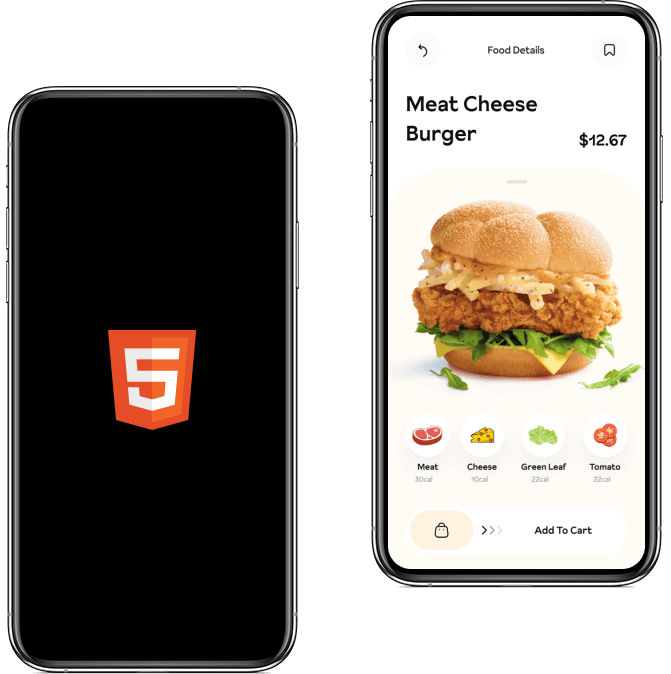 HTML5 App Development Company
