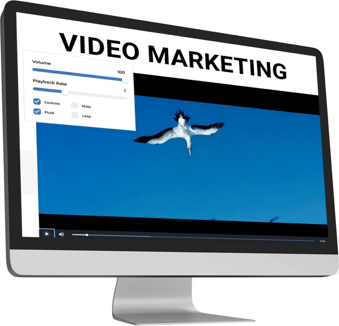 Video Marketing Services
