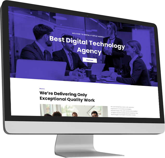 Volusion Development Services