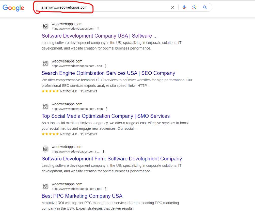 Website search Using Google