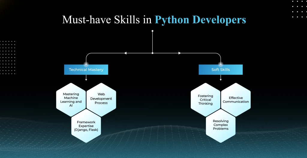 What Skills Should You Look For in a Python Developer?