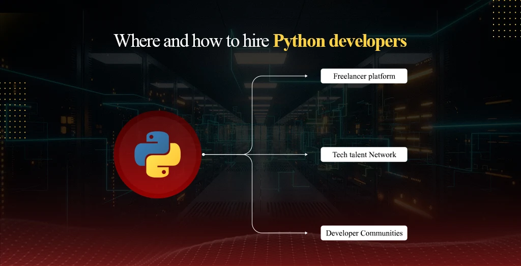 Where & How to Hire Python Developers For Business